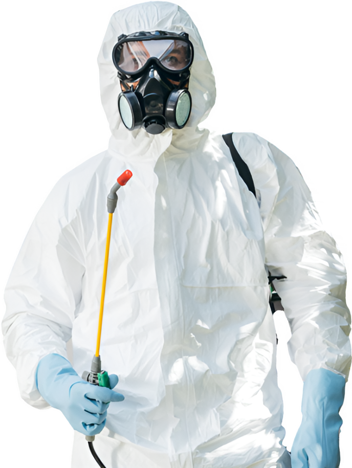 Exterminateur de nuisibles Montréal