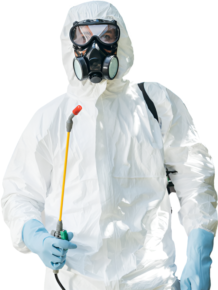 Gestion Parasitaire D'Amour photo 4