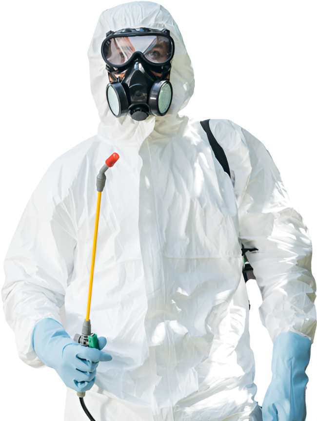 Gestion Parasitaire D'Amour photo 3