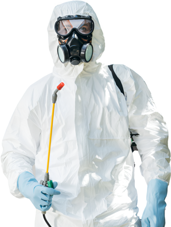 Gestion Parasitaire D'Amour photo 2