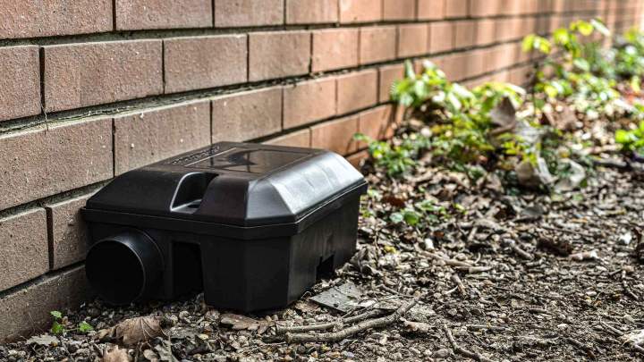 Capture et relocalisation d'animaux 