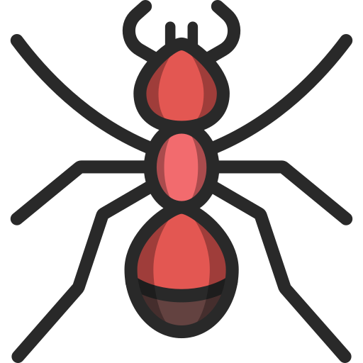 Intervention ciblée sur tous les types de fourmis